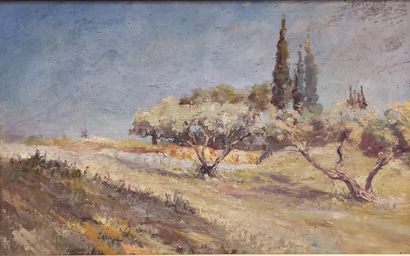 Provencal school Xxth century

Field of olive...