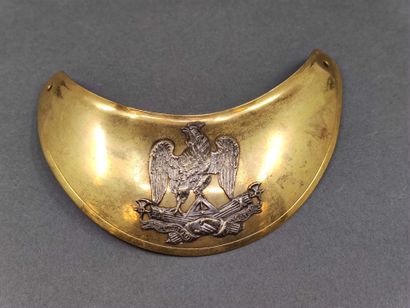 
Raise collar of officer of the national...