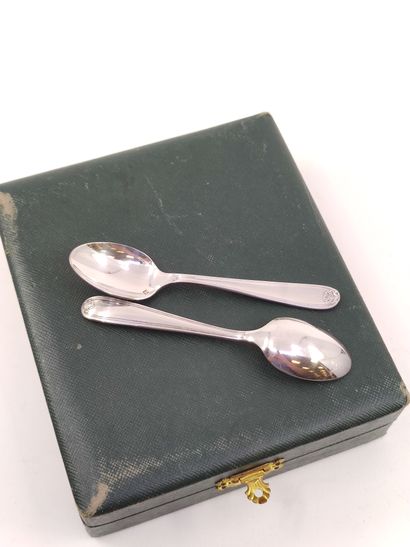 CHRISTOFLE

Twelve small spoons 

Silver...