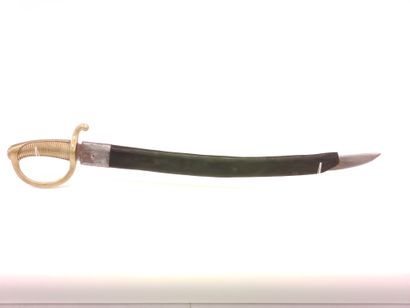 
Infantry saber called Briquet. 




Mounting...