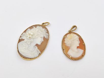 TWO shell cameo pendants with female profiles...