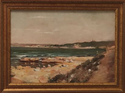 Alphonse PELLET (1853 - 1926) attributed...