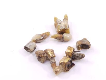 LOT of gold dental debris 

Gross weight...