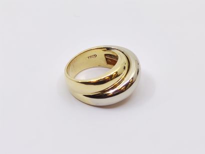 FRED

BAGUE en or trois tons 

Poids : 15,7...