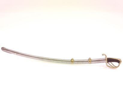 
Saber of non-commissioned officer of cavalry....