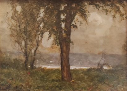 Louis Alexandre CABIE (1853 - 1939)

Landes...