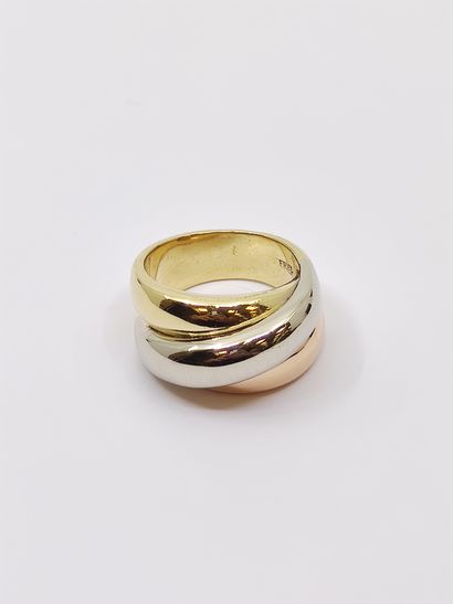 FRED

BAGUE en or trois tons 

Poids : 15,7...