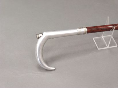 
Rifle cane with annular percussion




Metal...