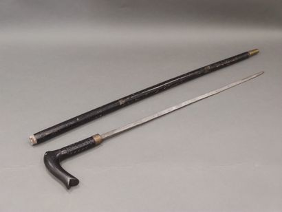 
Two canes including a sword cane and a foil...
