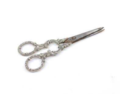 PAIR of silver and metal grape scissors

Gross...