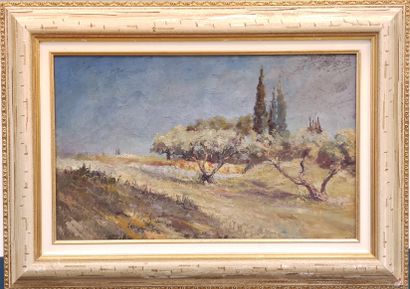 Provencal school Xxth century

Field of olive...