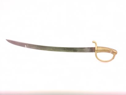 
Infantry saber called Briquet. 




Mounting...