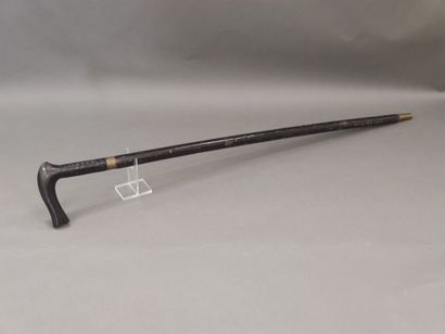 
Two canes including a sword cane and a foil...