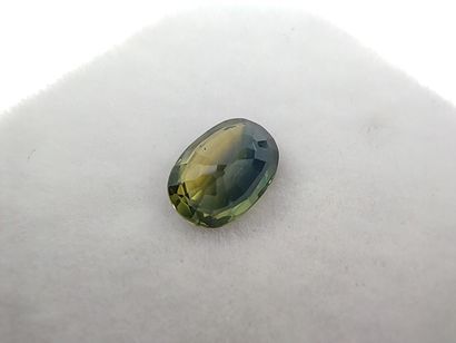 SAPHIR bluish green VVS Australie ovale 

Dim...