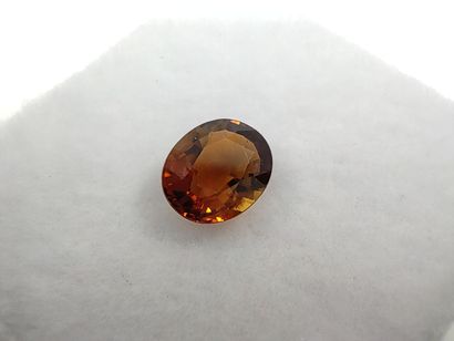 TOURMALINE orange VS Nigeria ovale

Dim :...