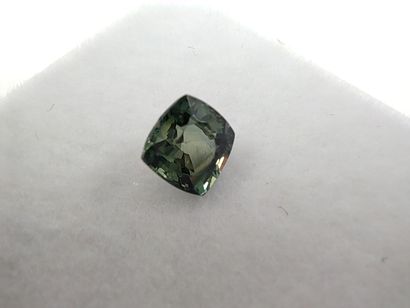 SAPHIR bluish green Australia cushion

Size:...