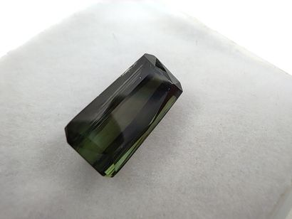 TOURMALINE deep blue VVS Mozambique émeraude

Dim...