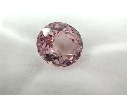 TOURMALINE pink VS Mozambique oval 

Size...