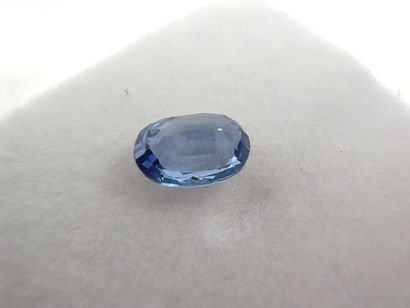 SAPHIR blue VVS Ceylan ovale

Dim : 6mm x...