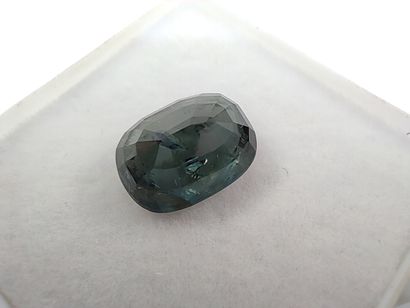 SAPHIR bluish green Australia cushion

Dim:...