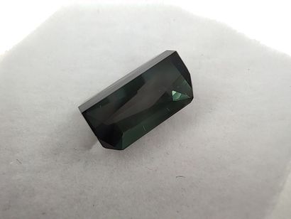 TOURMALINE deep bluish green VVS Mozambique...