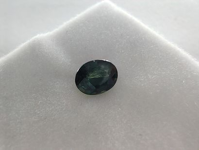 SAPHIR greenish blue Australie ovale

Dim...