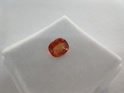 GRENAT orange spessartite Namibia cushion...