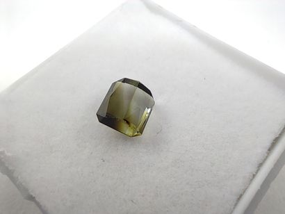 TOURMALINE yellowish green Mozambique émeraude

Dim...