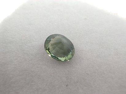 SAPHIRE bluish green VVS Australie ovale

Dim...