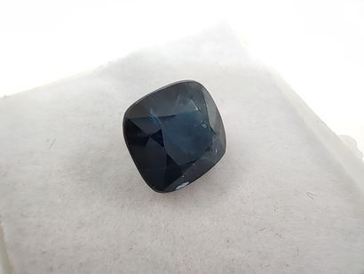 SAPHIR medium blue Australia cushion

Size:...