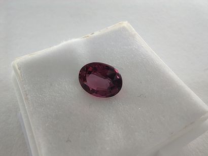 GRENAT pinkish purple rhodolite VS Tanzania...