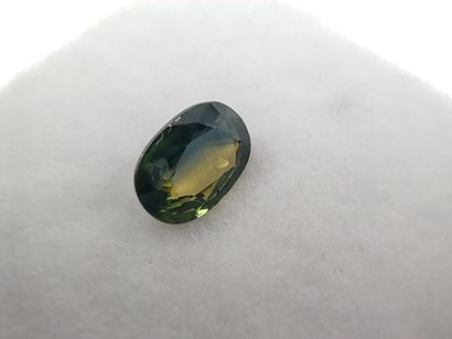SAPHIR bluish green VVS Australie ovale 

Dim...