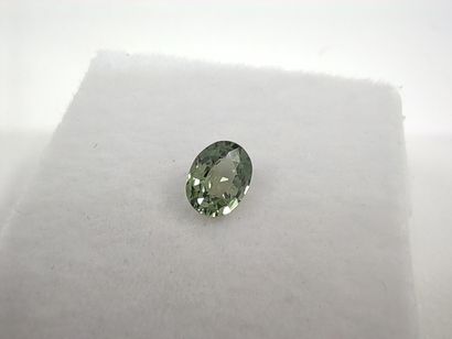 SAPHIR green VS Madagascar ovale

Dim : 5mm...