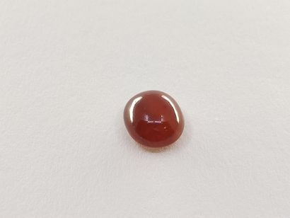 GRENAT orange spessartite Namibia cabochon...