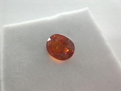 Oval spessartite Namibian orange GRENAT

Dim...