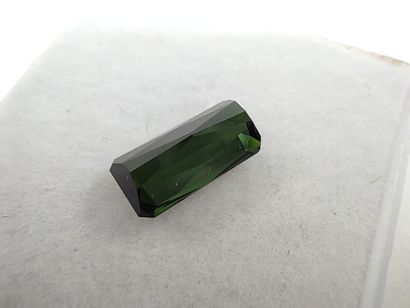 TOURMALINE deep green VVS Mozambique émeraude

Dim...