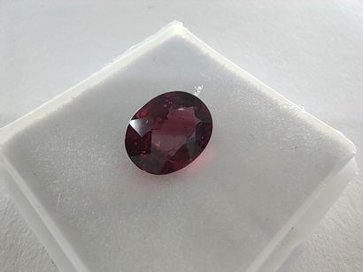 GRENAT purplish pink rhodolite Madagascar...
