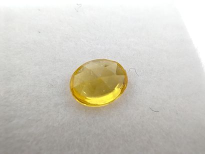 SAPHIR yellow Songea VVS Tanzania oval 

Size...
