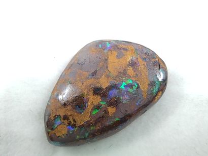 OPALE koriot nut boulder du Queensland Australie...