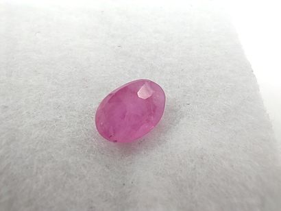 SAPHIR pink Mozambique oval

Size : 6mm x...