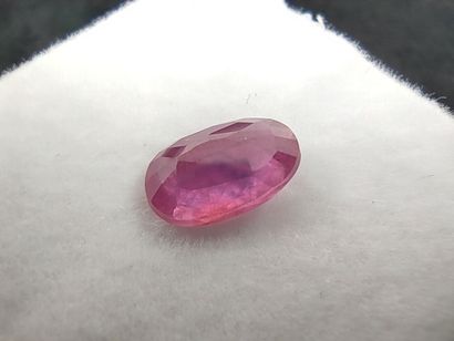 SAPHIRE purplish pink Mozambique ovale

Dim...
