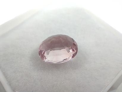 TOURMALINE pink Mozambique ovale 

Dim :...