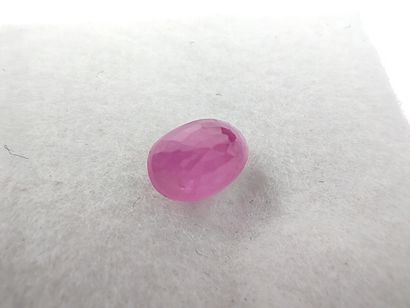 SAPHIR pink Mozambique oval

Size : 6mm x...