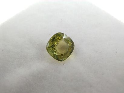 SAPHIR green VVS Australia cushion

Dim :...