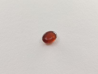 GRENAT orange spessartite Namibia cabochon

Size...