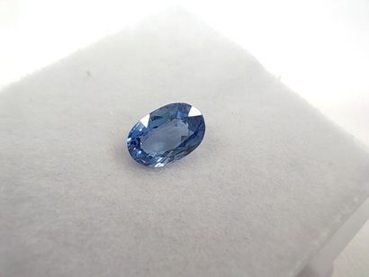 SAPHIR blue VVS Ceylan ovale

Dim : 6mm x...
