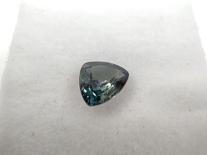 SAPHIR greenish blue VS Australia trillion

Size...
