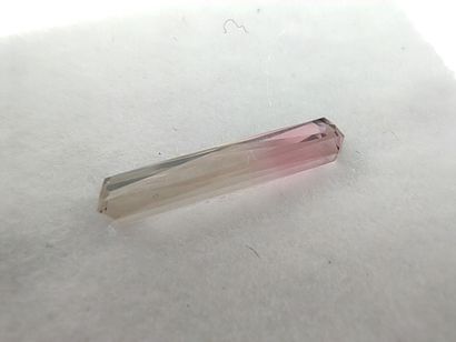 TOURMALINE melon d'eau yellowish green et...