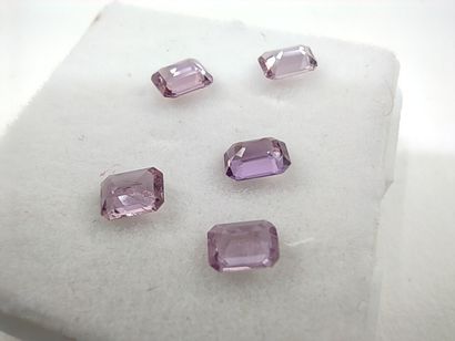 FIVE SAPHIR pink Madagascar emerald

Dim:...