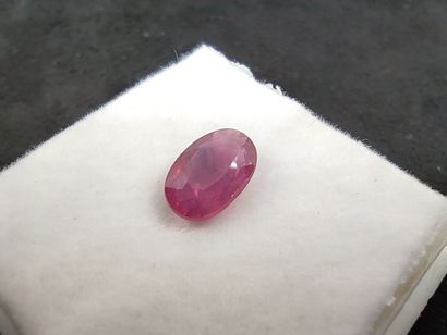 SAPHIRE purplish pink Mozambique ovale

Dim...